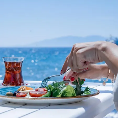 Hotel Kefi Beach&suites Ortakent