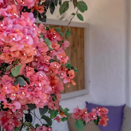 Hotel Kefi Beach&suites