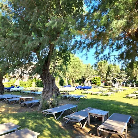 Kefi & Ортакент