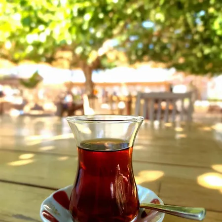 فندق Kefi & أورتاكنت