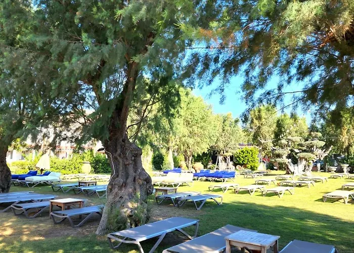 Kefi & Ortakent