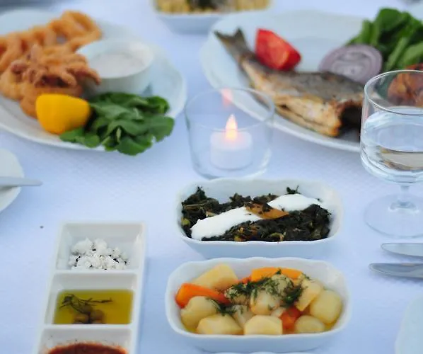 酒店 Kefi & 奥塔肯特